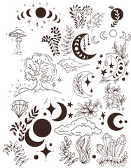 Mushrooms mystical magical graphics hand drawn moon stars tarot intuition fly agarics toadstools poisons set background stickers coloring