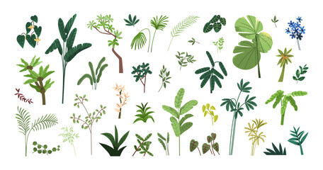 Poster - Leaf plants, exotic tropical green leaves, branches set. Botanical floral natural design elements, decorations. Fern, ficus and flowers. Flat vector illustration isolated on white background