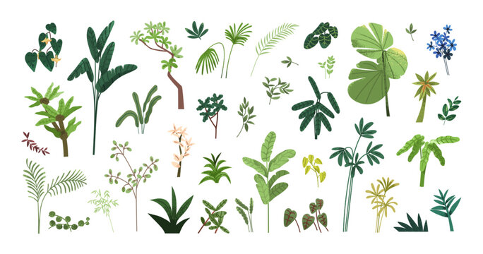 leaf plants, exotic tropical green leaves, branches set. botanical floral natural design elements, d