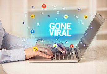 Poster - Freelance woman using laptop
