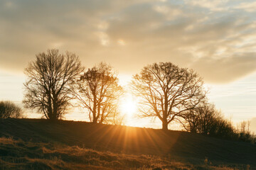 Wall Mural - A serene landscape featuring the silhouette of trees against a dusk sky with the setting sun.
