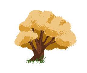 Poster - Autumn tree. Forest plant in fall season. Deciduous vegetation, big dense lush orange leaf crown. Large oak growing, nature element. Flat graphic vector illustration isolated on white background