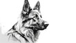 Detailed black and white drawing of a dog. Suitable for pet lovers or animal-themed projects
