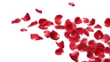Fototapeta Kosmos - Red rose petals flying in the air, perfect for romantic designs