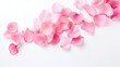 © Vahram - Pink soft flower petals on isolated background