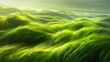 long green grass,  waves undulating line, blurred movement, copy and text space, 16:9