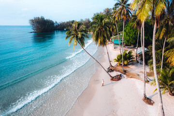 Wall Mural - Aerial Beach and coconut trees on a calm island in the morning