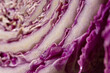 Purple cabbage macro abstract background. Creative composition in the harsh sunlight. Cut the crude product. Vegetarianism, diet, vitamins. Purple Peking cabbage for salads. The texture of the food