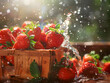 fresh strawberries in the wooden bowl with water splashing 