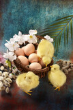Fototapeta  - Easter background with a wicker basket full of eggs and yellow chickens