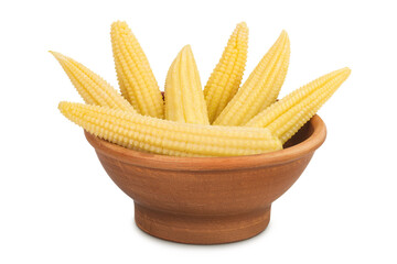 Wall Mural - Pickled young baby corn cobs in ceramic bowl isolated on white background