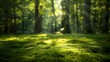 Lush Green Mossy Forest Floor Bathed in Soft Sunlight Glow - An Enchanting Serene Nature Masterpiece