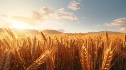 Poster - Generative AI Expansive wheat fields bathed in golden sunlight, showcasing the ripening wheat crops swaying gently in the breeze.
