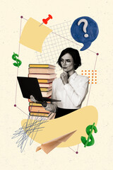 Wall Mural - Vertical collage picture young minded woman business strategy plan laptop dollar finance currency trading investor money earnings