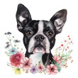 lovely boston terrier puppy with flowers