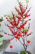 traditional chinese lantern hanging on Native North American shrub winterberry for new year