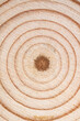 round wood textured background for decoration