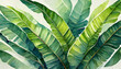 Abstract green floral elements banana leaves and plant with high quality detail on digital art concept.