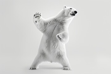 Wall Mural - polar bear is standing in a white background with his arm up