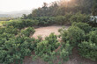 Land and soil backfill in aerial view. Include landscape, empty or vacant area at outdoor. Real estate or property for small plot, sale, rent, buy, purchase, mortgage and investment in Nan, Thailand.