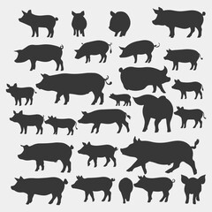 Wall Mural - flat design pig silhouette collection