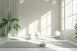 A white room with a plant and a few white balls. The room is empty and has a minimalist feel. 