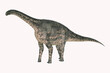 Cetiosaurus Giant Sauropod - Cetiosaurus was a herbivorous sauropod Titanosaur that lived in Africa during the Jurassic Period.