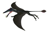 Fototapeta Konie - Dorygnathus Pterosaur Wings - Dorygnathus was a carnivorous Pterosaur that lived in the Jurassic Era of Europe.