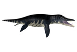 Fototapeta Konie - Liopleurodon Sea Reptile - Liopleurodon was a carnivorous marine plesiosaur that lived in the Jurassic seas of Europe and Canada.