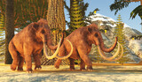 Fototapeta Konie - Columbian Mammoths - The Columbian Mammoth lived during the Pleistocene Period of North America.