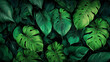 A lush pattern of overlapping monstera leaves in various shades of green.