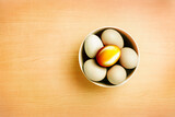 Fototapeta Desenie - Golden egg standout from eggs in bowl on wood table, Find the Golden Business Egg Concept