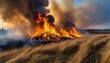 A wildfire is aggressively consuming a field filled with dry grass. The flames are intense and spreading rapidly, fueled by the wind