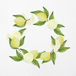 Corona de limones, gajos y hojas pintados a mano con acuarelas sobre papel de acuarela blanco, fresco y veraniego. Se puede usar para escribir un mensaje en su interior.