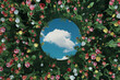 Circle mirror reflecting clouds. Surrounded by colorful tulips. Flat lay of nature style concept. 3D Rendering