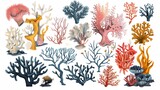 Fototapeta  - a group of corals and seaweeds on a white background