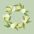 Corona de limones, gajos, mitades y hojas pintados a mano con acuarelas sobre fondo verde claro, fresco y veraniego. Se puede usar para escribir un mensaje en su interior