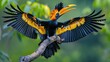 Discover the diverse beauty of avian life of stunning bird photographs, capturing nature's winged wonders