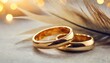 two golden wedding rings and feather light soft background