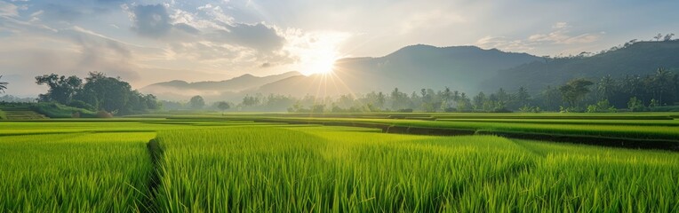 A vast green field stretches out before towering mountains in the distance. The scene is marked by the contrast between the lush grassland and the rugged peaks.