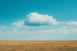 A solitary white cloud hovers above a vast golden field, showcasing the simplicity and expanse of the rural landscape.
