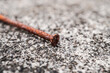 Old rusty nail laid on rough cement wall surface. Empty blank copy text space