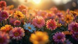 Fototapeta Kwiaty - Vibrant Field of Colorful Flowers With Sun Background