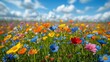 Spring in the meadow, yellow and red, blue colorful wild flowers on the park floor,