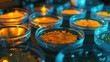 Close-up view of petri dishes with bacterial colonies incubating on nutrient agar, illuminated by a warm, artificial light