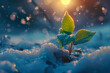 Nature's Resilience: A Tender Sprout Defies Winter's Chill