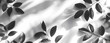 Monochrome shadows of plant leaves on white backdrop. Black and white shadow isolated for design and art. Overlay effect for photo.