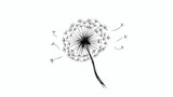 Fototapeta Dmuchawce - Abstract simple dandelion in black ink color. Sprin
