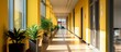 corridor in an office building with yellow walls with paintings on the walls and decorative plants