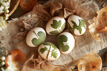 Raw white Easter eggs with herbs attached to them - preparation for dyeing with onion skins